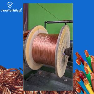 สาย THW 1 x 10 SQ.MM.** (ขนาด 10 เมตร!!)** >>10 เมตร/ขด<< สายไฟ มอก IEC 01 สายไฟทองแดง ทองแดง สายแกนเดียว สายเมน สายกราว