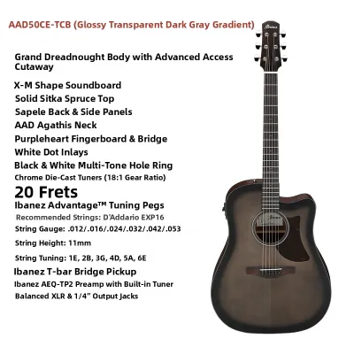 Ibanez | Beginner to Advanced Acoustic Guitar