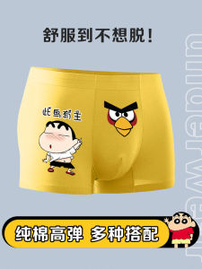 Men Underwear This Bird Owner Pure Cotton Couple Cartoon Boys Funny Personality Funny for Boyfriend Cute Shorts