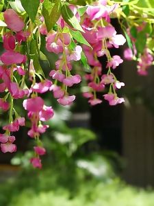 2M Artificial Flowers garland Hanging Plants Vines Leaves Decor Fake Wedding Decor Party