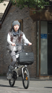 【Local Delivery】ROCKBROS 20 Inch Folding Bike Disc Brake 7 Speed Adult Foldable Bike City Leisure Portable Student Bike