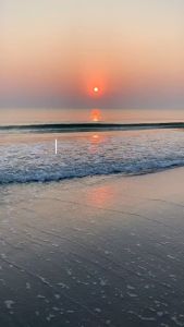 Sách - Đệ Tử Quy (Bìa Mềm)