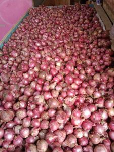 1kg Bawang merah lokal murah kiloan ukuran sedang ke jumbo bukan yang kecil untuk bumbu Wangi langsung petani