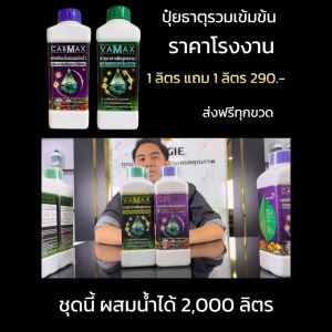 1 แถม 1 เลือกได้ ติดดก จบในชุดเดียว Cabmax Vamax ปุ่ยสูตรที่ดีที่สุดในตอนนี้ ธาตุอาหารรวม+แคลเซียมโบรอน ของแท้จากโรงงาน