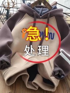 Thickened Fleece Hoodie Sweatshirt for Boys Autumn Winter New Style Korean Version Stylish Hooded Jacket Trendy Childrens Clothing