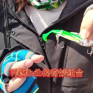 Mồi Câu Giả Hopeblaze T-Tail VIB Với Hệ Thống Rung Kép Đuôi Mềm Tháo Rời Được 3 Chế Độ Lỗ Câu Dành Cho Cá Bass Cá Pike Cá Walleye Cá Perch Cá Trout - Gói 5 Cái