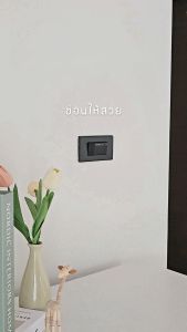 Hide ที่ครอบแต่งสวิตช์ไฟ ครอบแต่งเต้าปลั๊กไฟ สไตล์มินิมอล by มุมบูชา