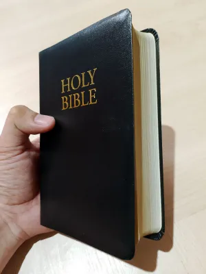 POCKET SIZE BIBLE SOFT LEATHER LARGE PRINT COMPACT KJV BIBLE