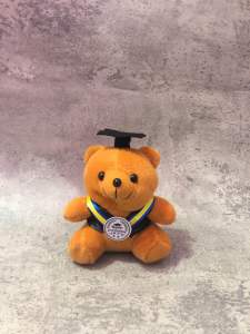 Boneka Teddy Bear Wisuda 15cm/ boneka wisuda murah/ boneka wisuda murah Bekasi