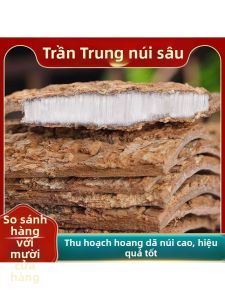 Trà Bạch Truật Dược Liệu