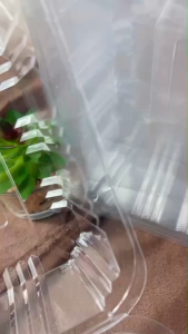 กล่องใส OPS DD-13 บรรจุภัณฑ์เบเกอรี่ 100ใบ ที่ใส่อาหารและเครื่องดื่ม กล่องข้าว ไม่เป็นไอน้ำ