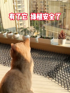 หนามไล่แมว มี 2 ขนาด ไล่นกพิราบ หนามกันแมว ที่กันแมว ยางหนามแมว ปลอดสารพิษ