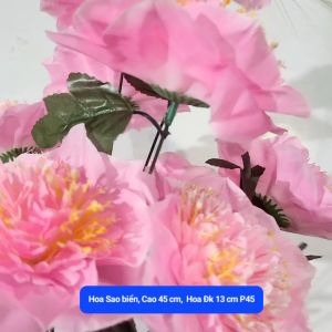 HOA SAO BIỂN TRANG TRÍ TÉT DECOR PHÒNG (HOA GIẢ)