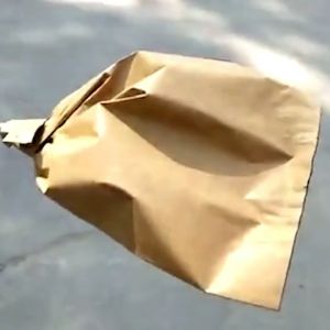 100pcs Fruit protection bags with Waterproof paper against Insect and Birds for Fruits and Vegetables