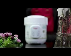 COSMOS Mini Digital Rice Cooker 4 in 1 - CRJ-1031