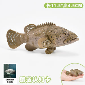 Solid Simulated Marine Animal Toy Model Childrens Educational Decorations Stonefish Red Season Fish Static Cognitive Gifts
