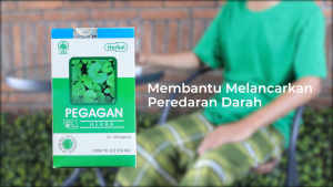 HIU Pegagan 60 Kapsul - Herbal Peningkat Daya Ingat & Sirkulasi Darah