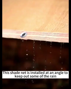 New Sun Shade Net Shading Net Anti-UV Outdoor Pergola Awning Garden Sun Shelter Swimming Pool#ZYW02