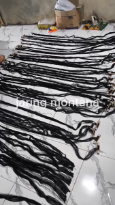 JARING BURUNG EMPRIT & JARING BURUNG PIPIT: TIPS & TRIK