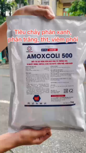 Daeyong Amoxcoli 500 ( 100 Gr ) Tiêu chảy phân xanh phân trắng thương hàn Cozya THT dùng trong Thú Y