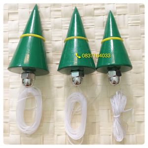 Quả dọi 500g Chính Hãng Berrylion