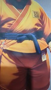 Kaos Pria Premium 3 Dimensi Tshirt Oblong Animasi Karate Cat Katun 24s 100% H022 by Hans & Co