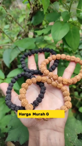 Gelang Jenitri Mix Rudraksha Mix 1 Paket Isi 4 Gelang 2 Gelang Hitam 2 Gelang Normal