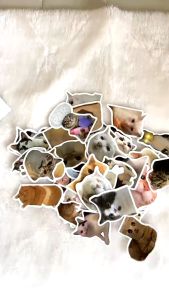 50Pcs Funny Cats Emoji Stickers DIY Luggage Stickers Laptop refrigerator Waterproof Doodle Decals Stickers waterproof