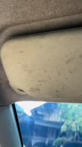 Top Seller NEW MULTIFUNCTIONAL CAR FOAM CLEANER SPRAY (260ml) | Automotive Car Magic Foam Cleaning Spray | Multipurpose Foam Cleaner Spray for Car DetailingCarpetFabric Washing | Quick Drying Stain Removal | Deep Cleans Seats Upholstery Roof & Panels