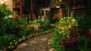 Đèn LED Năng Lượng Mặt Trời Dạng Dây 8 Chế Độ Đèn Trang Trí Sân Vườn Ngoài Trời Đèn Giáng Sinh Chống Nước Theo Tiêu Chuẩn IP65 Kèm Pin