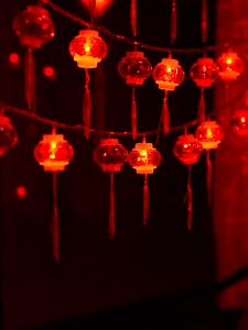 Đèn led trang trí tết dây dài 5m cắm điện 220v nhấp nháy nhiều chế độ