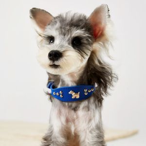 Punk Style PU Leather Pet Collar Adjustable Length for Medium to Small Pets Unbranded Pet Accessories Cat Dog Leash Supplies