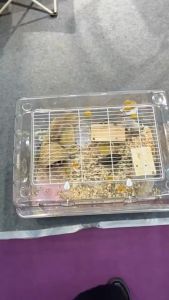 กรงหนู 2 ชั้น กรงเม่น กรงกระรอก กรงแฮมเตอร์ กรงเต่า แบบพลาสติก มี3ขนาด มีขาแถม ขาแบบไม้ 4 ขา