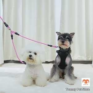 Wave Pattern Double Headed Pet Leash Dual Pet Traction Rope Detachable Hook Single Pull Pet Walking