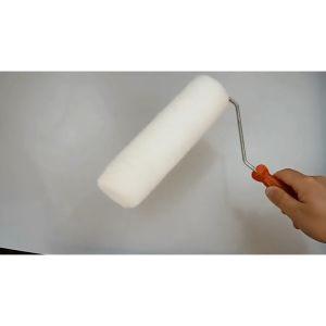 Cây Lăn Sơn Tường (Loại Tốt)- Gồm Đa Dạng Kích Cỡ-HAUSE