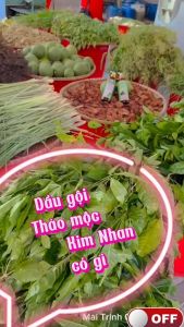 Dầu Gội Chè cỏ dành cho mẹ bầu và sau sinh Thảo mộc Kim Nhan Đồng Quê - 500ML