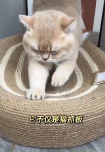 Cat Scratching Board Large Bed 2 in 1 Sisal Rope Non Dandruff Scratcher Grinding Claw Nest Mainan Kucing Cakar 猫抓板麻绳耐磨玩具
