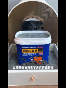 Dolarmi D03 Clean Storm mineral cat litter clumping deodorization 4.5kg 哆来咪D03天然钠基原矿砂