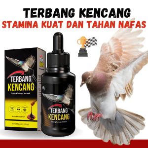 Doping merpati lomba terbang lebih kencang memperkuat daya terbang dan nafas lebih tahan lama maksimal