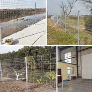 Hot Dipped Galvanized Bilateral Wire Mesh Fence: A Comprehensive Guide