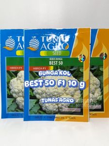 Benih Bunga Kol Best 50 10 gram Tunas Agro dataran menengah bibit biji sayur larissa f1 sayuran kembang bungkul hydroponik hidroponik