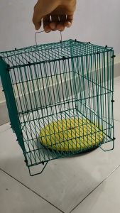 Lồng Nuôi Chim Hút mậtốc mítChim SâuKhuyên Lồng vuông Nuôi Nhiều Loại Chim