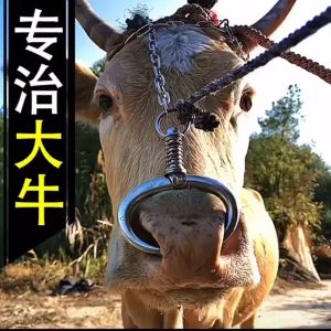 Seller Recommendation: Moonbase Stainless Steel Cow Nose Ring Pliers Bull Cattle Bovine Clip