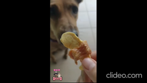 Handmade Pet Treats | Fuji Apple Chicken Wrap for Dogs | Natural Healthy Low Fat High Protein Dog Snack | No Additives No Preservatives | Training Reward Treats for Puppy Adult Senior | Dental Care Chew | Suitable for All Dog Breeds