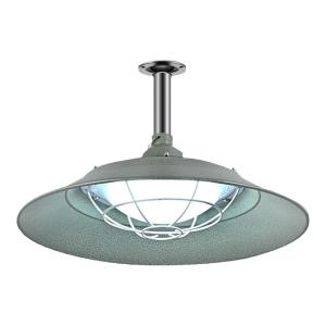 Explosion-Proof Corrosion-Resistant Pendant Light 100W
