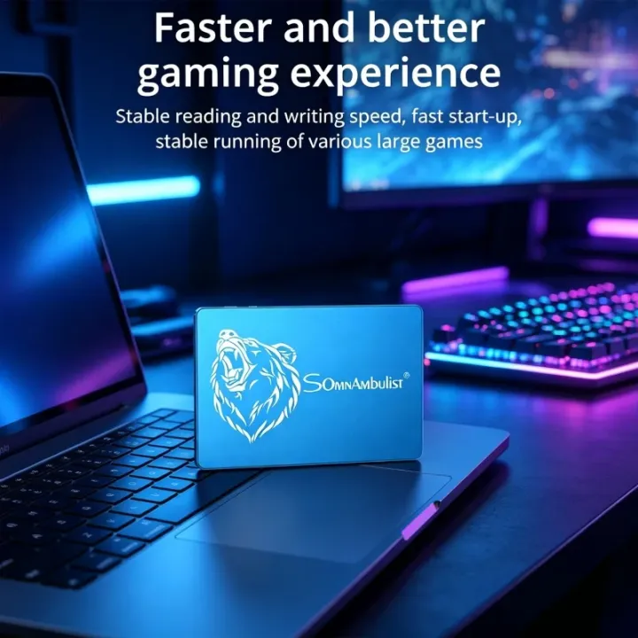 SOMNAMBULIST | Fast Speed SomnAmbulist 2.5 Inch SATA SSD Solid State Hard Disk for Notebook Desktop PC Gaming System Upgrade
