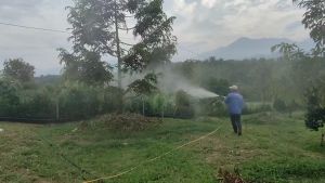 SNT High Pressure Spray Gun