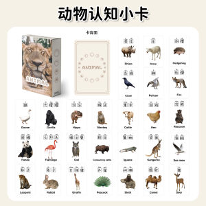 Animal Cognitive Card Chinese English Pinyin Kindergarten Children Kids Learning Identifying Objects through Graph Early Education Mini Truck
