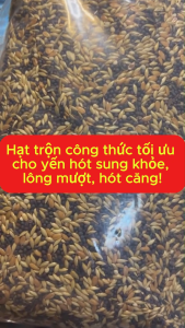 Hạt Trộn Ngũ Cốc Đặc Chế Cho Chim Yến Hót Ăn Mạnh – Lông Mượt – Hót Sung