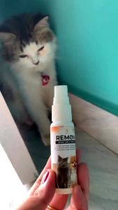 Remov obat spray anabul 30ml jamur kutu luka